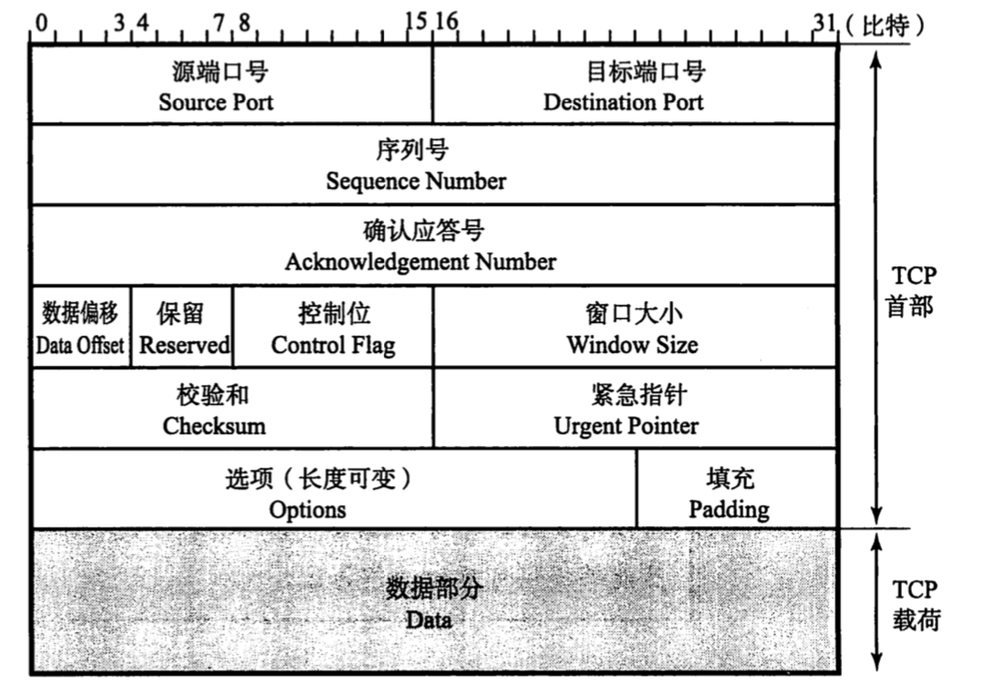 TCP头部